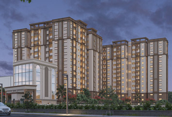 Pavani North Star