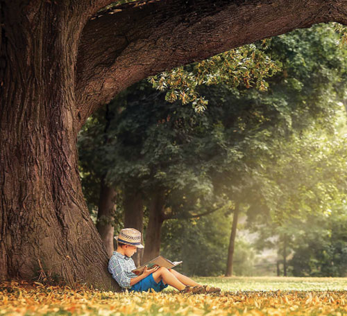 The BITRA REALTY Story